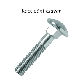 Kapupánt csavar 6x50