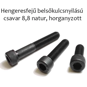 Hengeresfejű belsőkulcsnyilású csavar 8,8 natur horganyzott