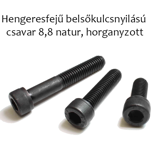 Hengeresfejű , belsőkulcsnyilású csavar 8.8, horganyzott M 16x160